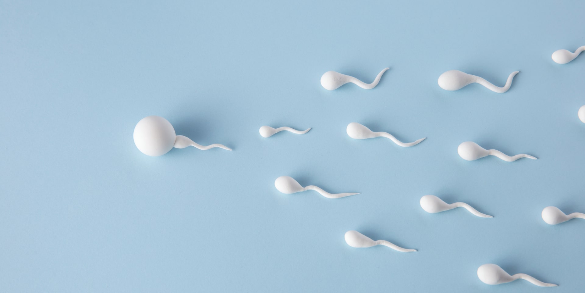 What You Should Know About Male Fertility