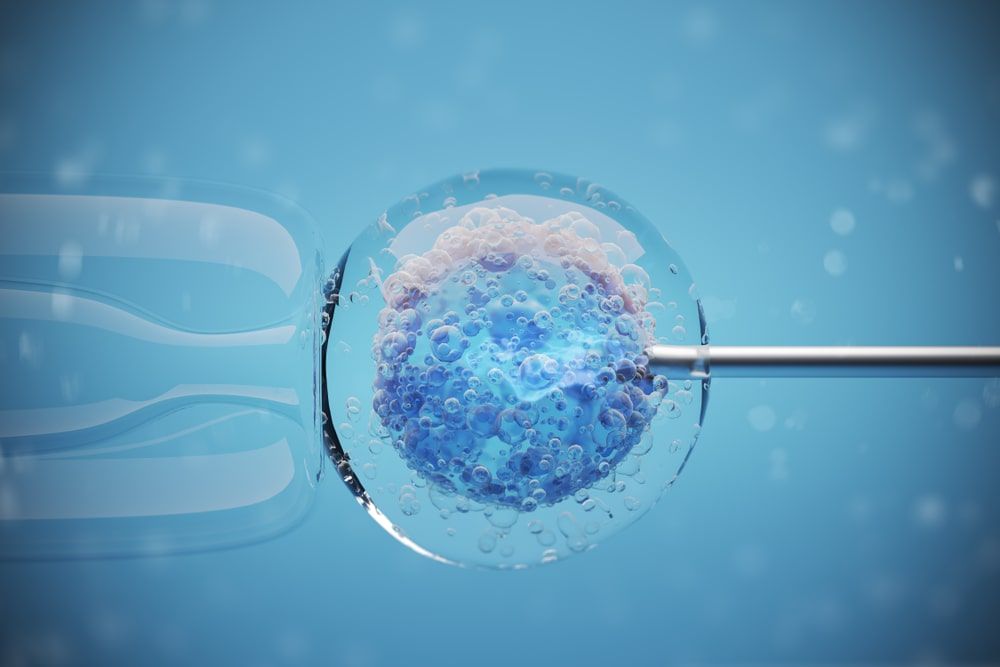 In-Vitro Fertilization (IVF): Your Questions Answered